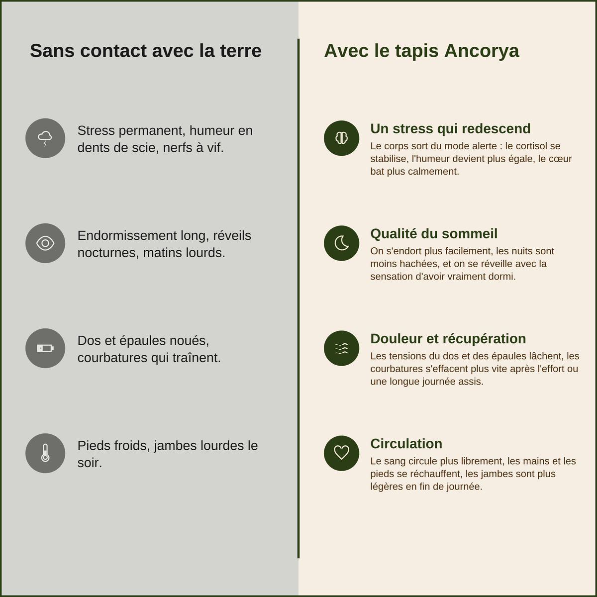 Sans contact avec la terre versus avec le tapis Ancorya : stress, sommeil, récupération, circulation Image